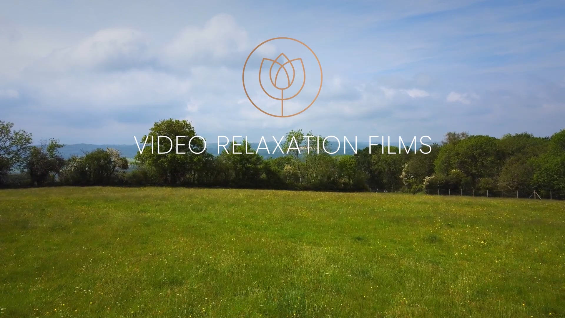 Relax in Nature s2 ep3 Bluebells
