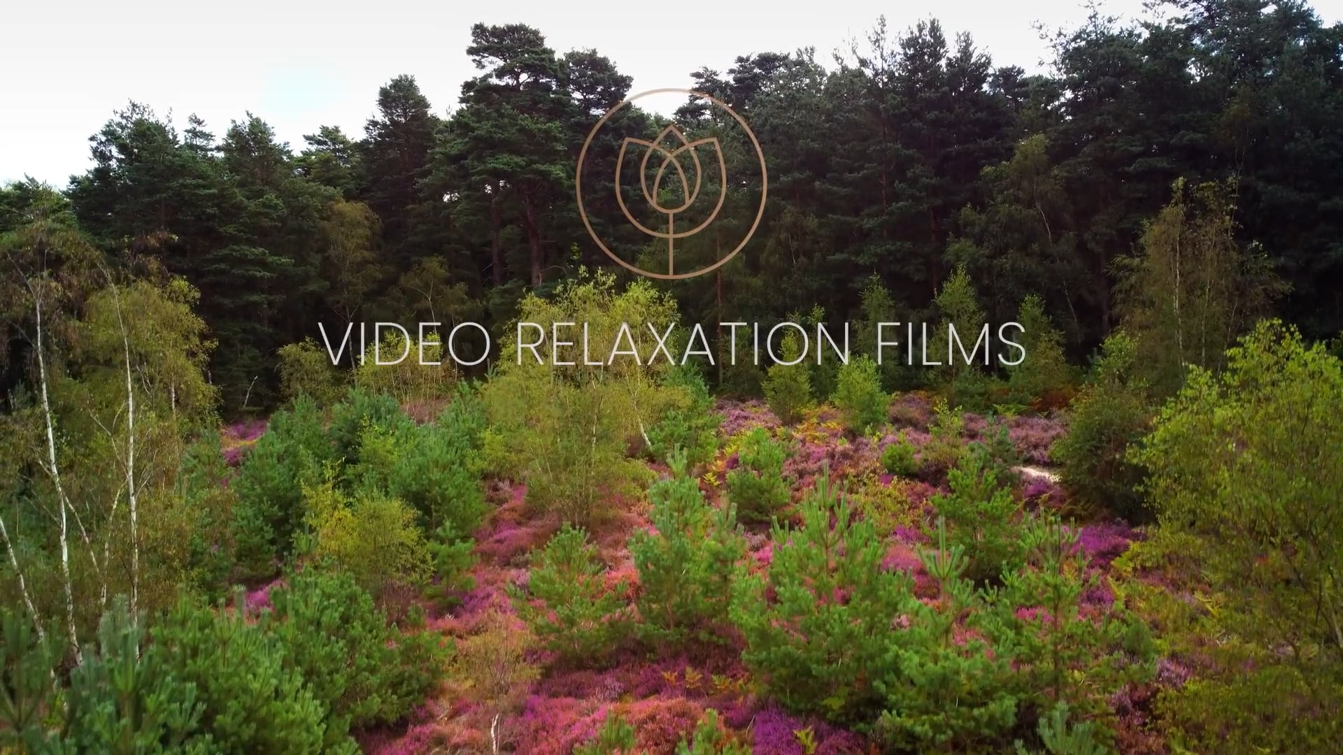 Relax in Nature s2 ep6 Flowers